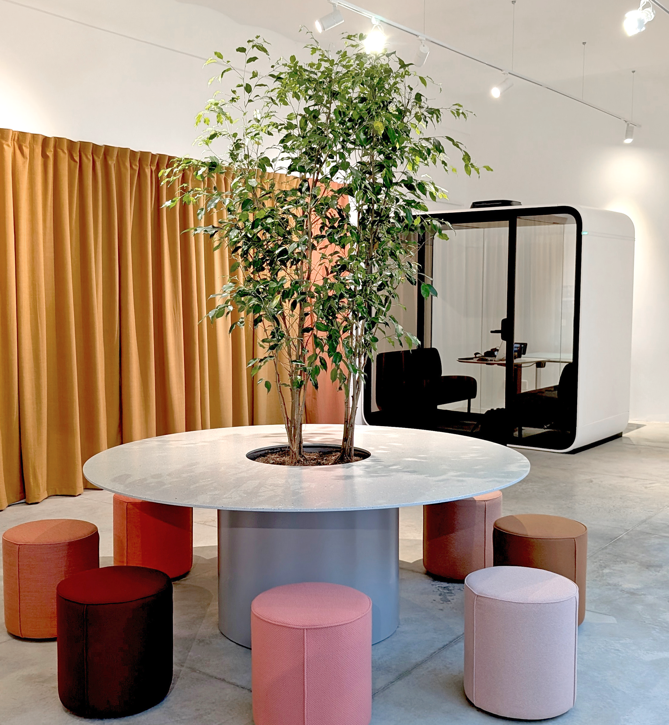 Tree Table+Phoneboot Edit