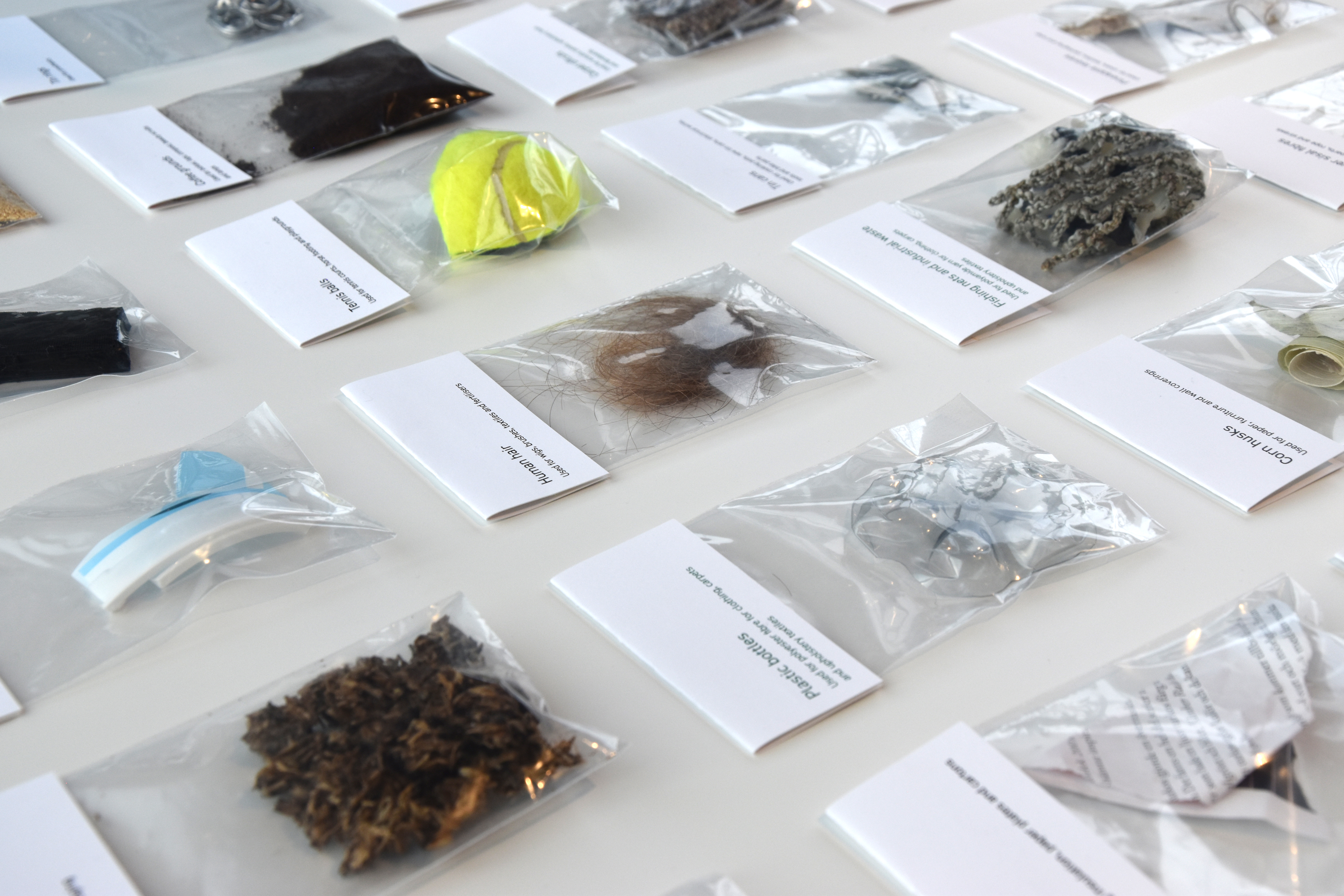 WHAT’S IN YOUR TRASH